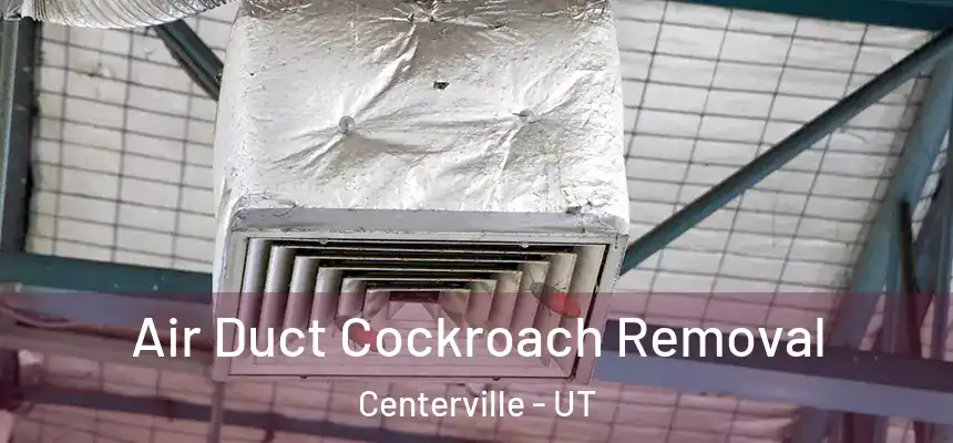 Air Duct Cockroach Removal Centerville - UT