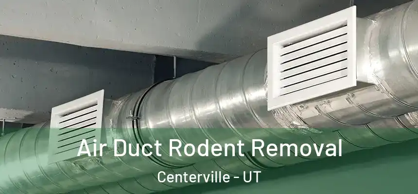 Air Duct Rodent Removal Centerville - UT