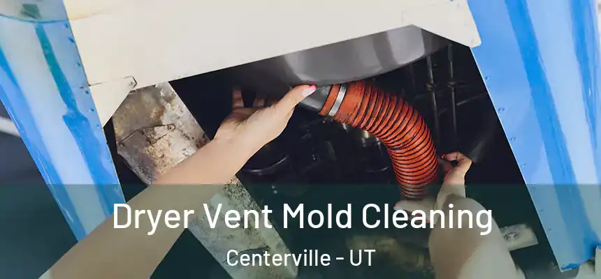 Dryer Vent Mold Cleaning Centerville - UT