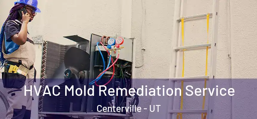 HVAC Mold Remediation Service Centerville - UT