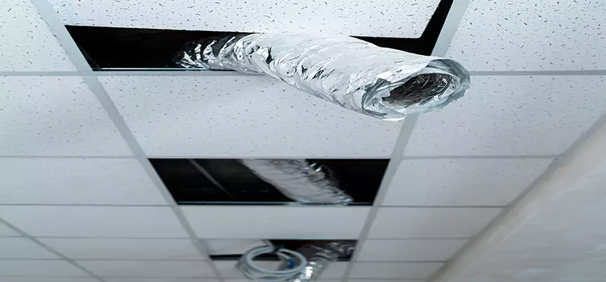 Our Air Duct Pet Hair Removal Services in Centerville, UT