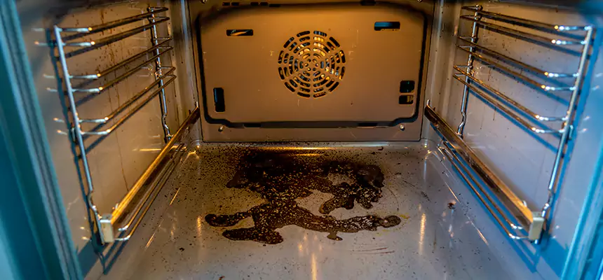 Our Dryer Vent Mold Cleaning Services in Centerville, UT