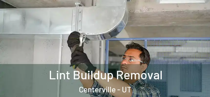 Lint Buildup Removal Centerville - UT
