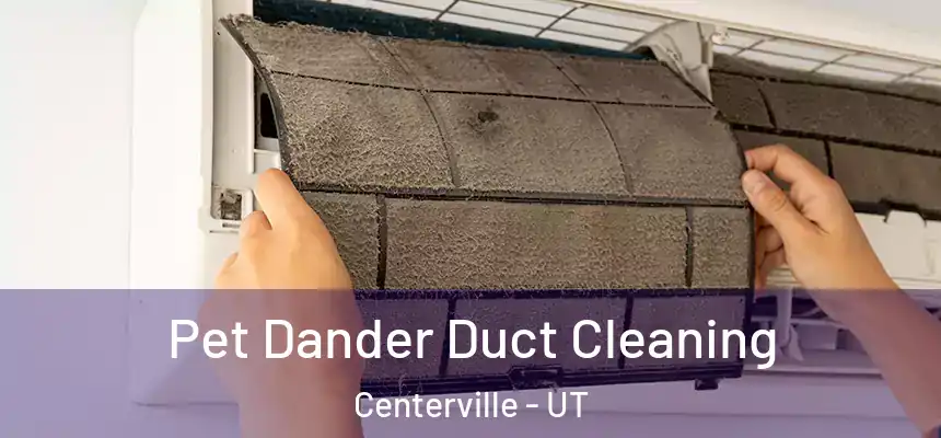 Pet Dander Duct Cleaning Centerville - UT