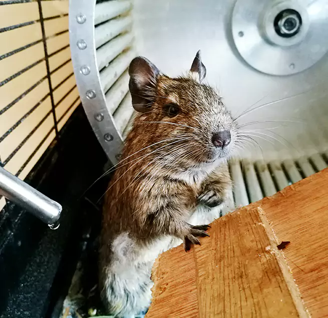 Why Homeowners & Businesses Trust Us Centerville, UT?