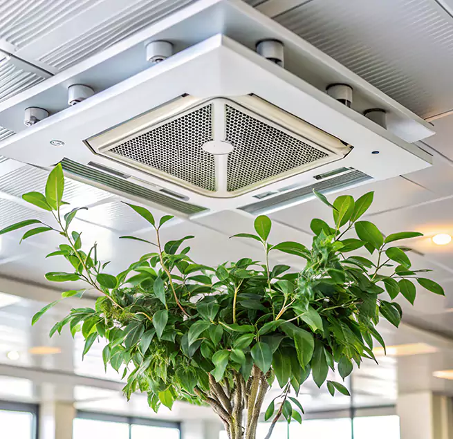 Why Homeowners & Businesses Trust Us in Centerville, UT?